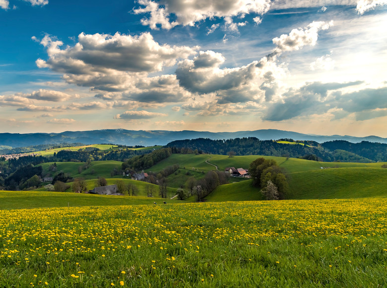 Sommerliche Landschaft bei St. Peter