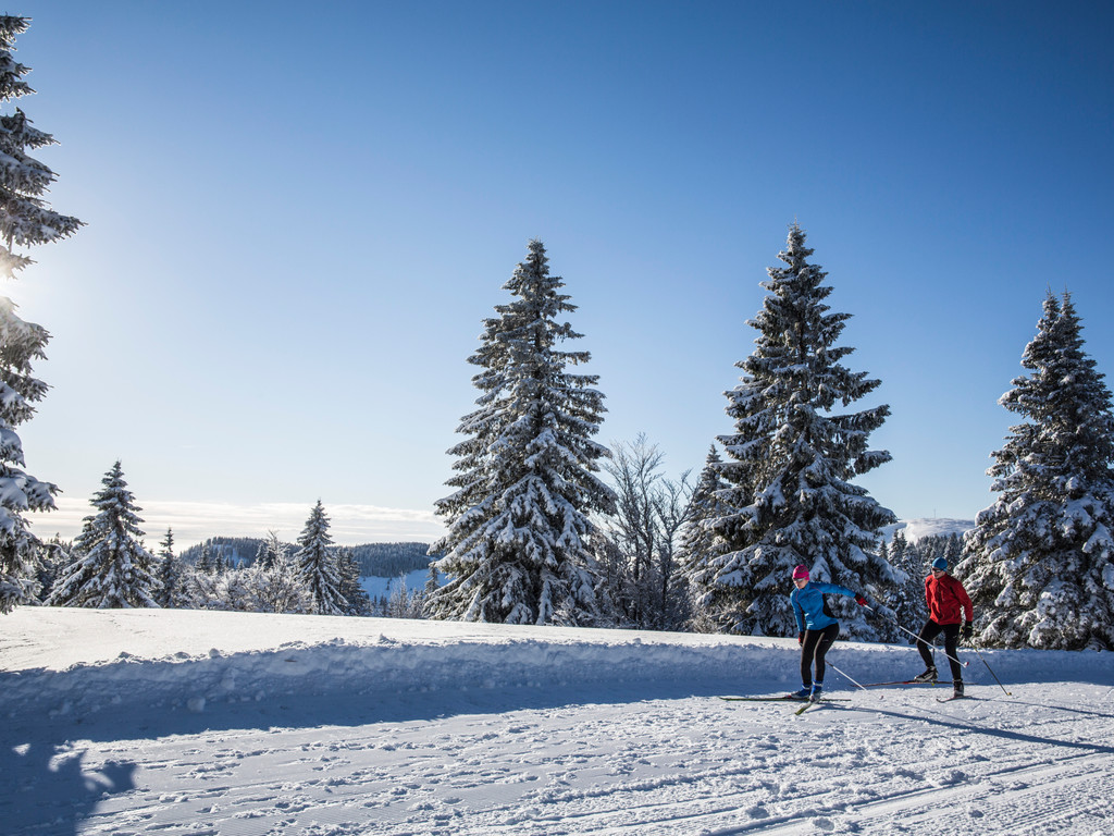 So verbrennt man auch im Winter Kalorien.  Die Turnschuhe werden gegen Langlaufskier ausgetauscht und los geht's!