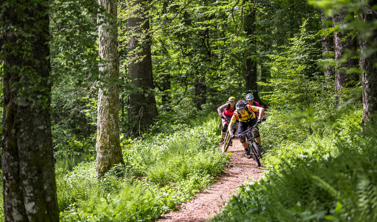 Mountainbiker im Wald