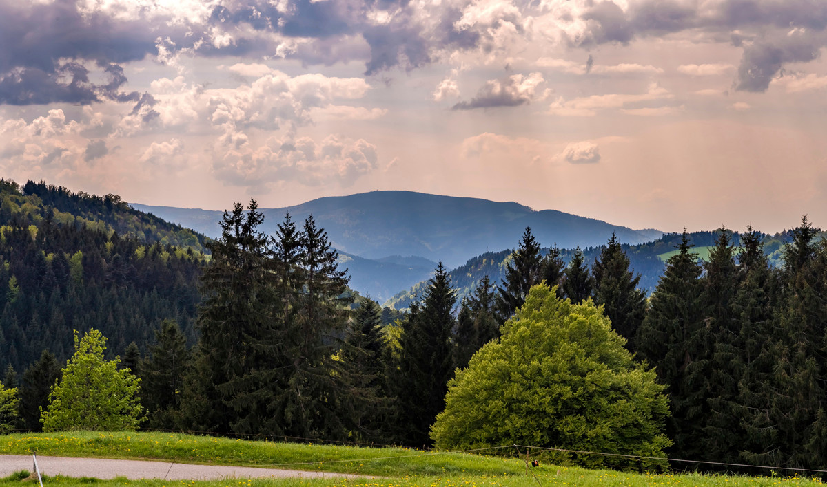 Die 8 schönsten Berge im Schwarzwald