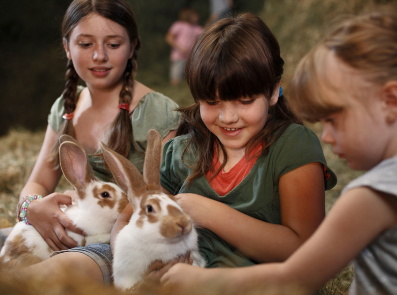 Mädchen spielen mit Hasen im Heu