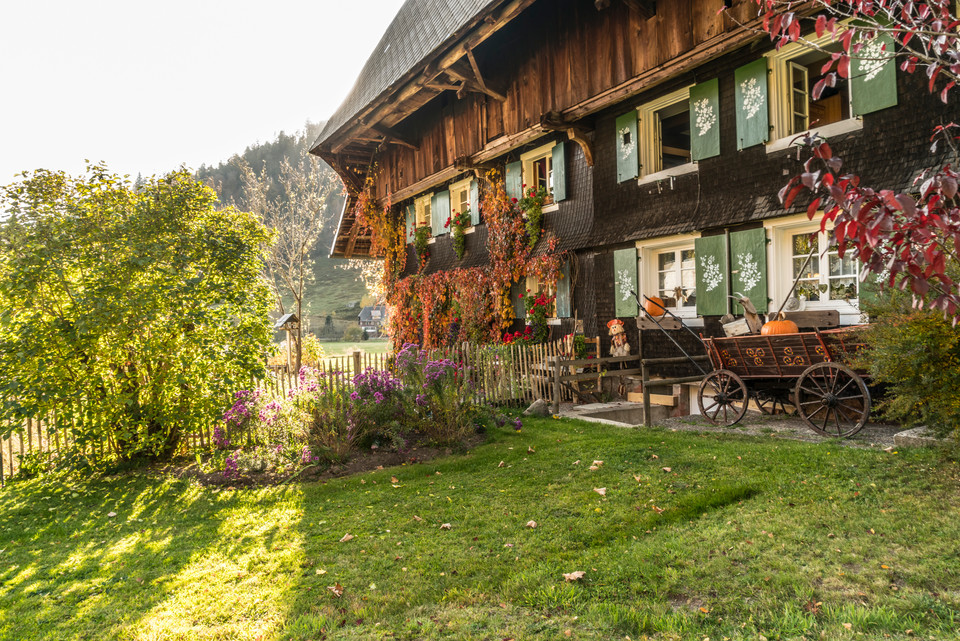 Schwarzwaldhof in Menzenschwand