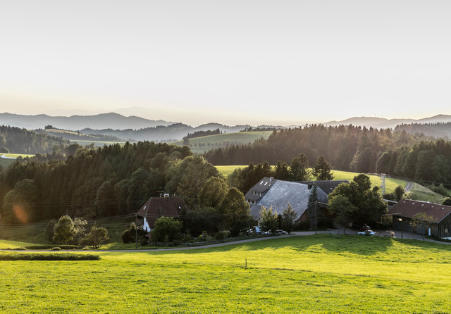 Der Brosihof in St. Märgen inmitten einer traumhaften grünen Landschaft